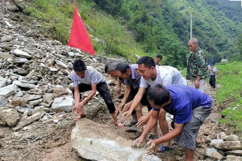 陇南汛期食品安全风险防范与地质灾害治理服务保障